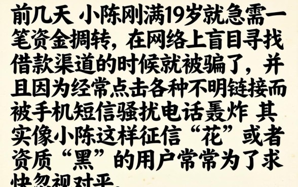 8个黑花口子大全，详尽说明5个18岁借款神器快速下款app