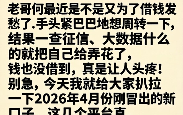 2026年4月份秒下的新口子，鼎力推荐5个公积金借钱平台