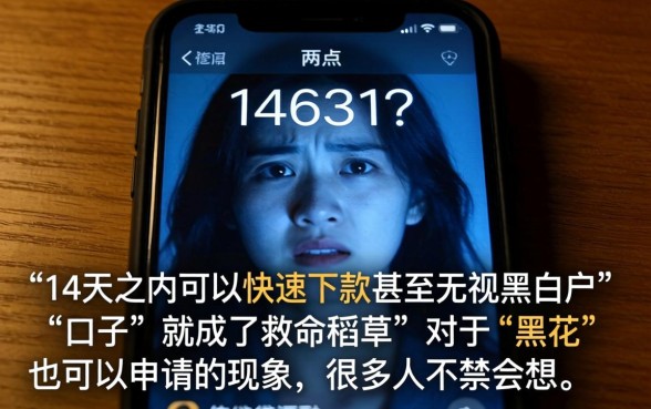 14天能下款的口子，规整五个无视黑花半夜下款的网贷平台