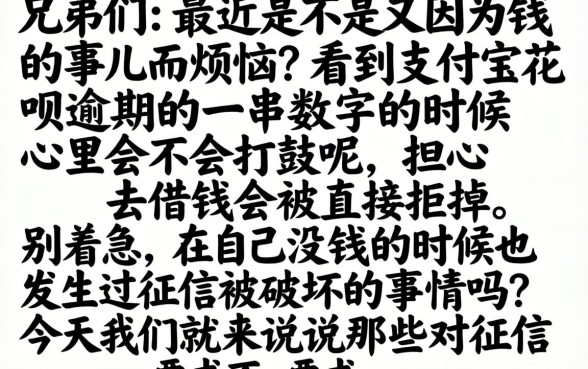 公积金网络借款口子，深入剖析五个支付宝花呗逾期万元快速贷款口子