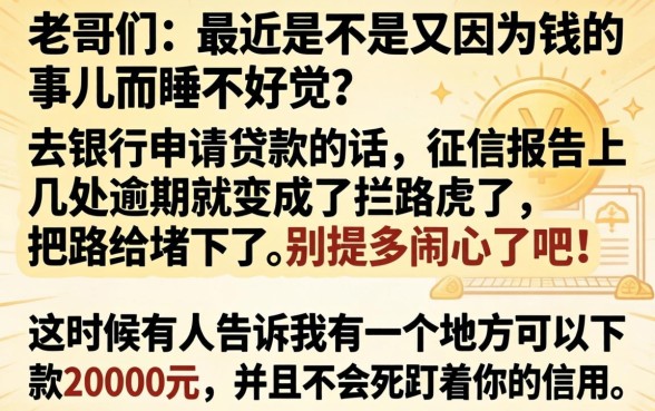 20000现在能下款的网贷口子，热忱推荐五个苏州黑户贷款5万的平台