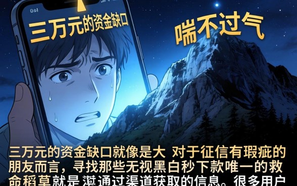 哪些秒下款的口子，枚举5个黑户急需三万秒到的的软件