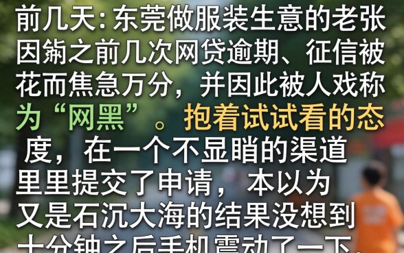 网络小额借款公司，规整五个网黑全拒能下款的口子