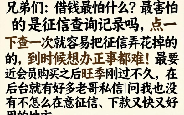24年会员购买后，胪列5个小额贷款不查征信的软件