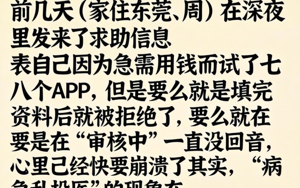 什么口子贷款易通过，陈列五个5000块贷款秒下软件