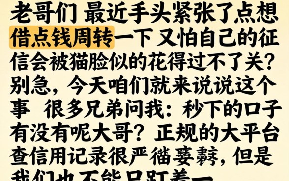 秒下的口子有吗老哥，整理五个小额贷款不查征信的平台