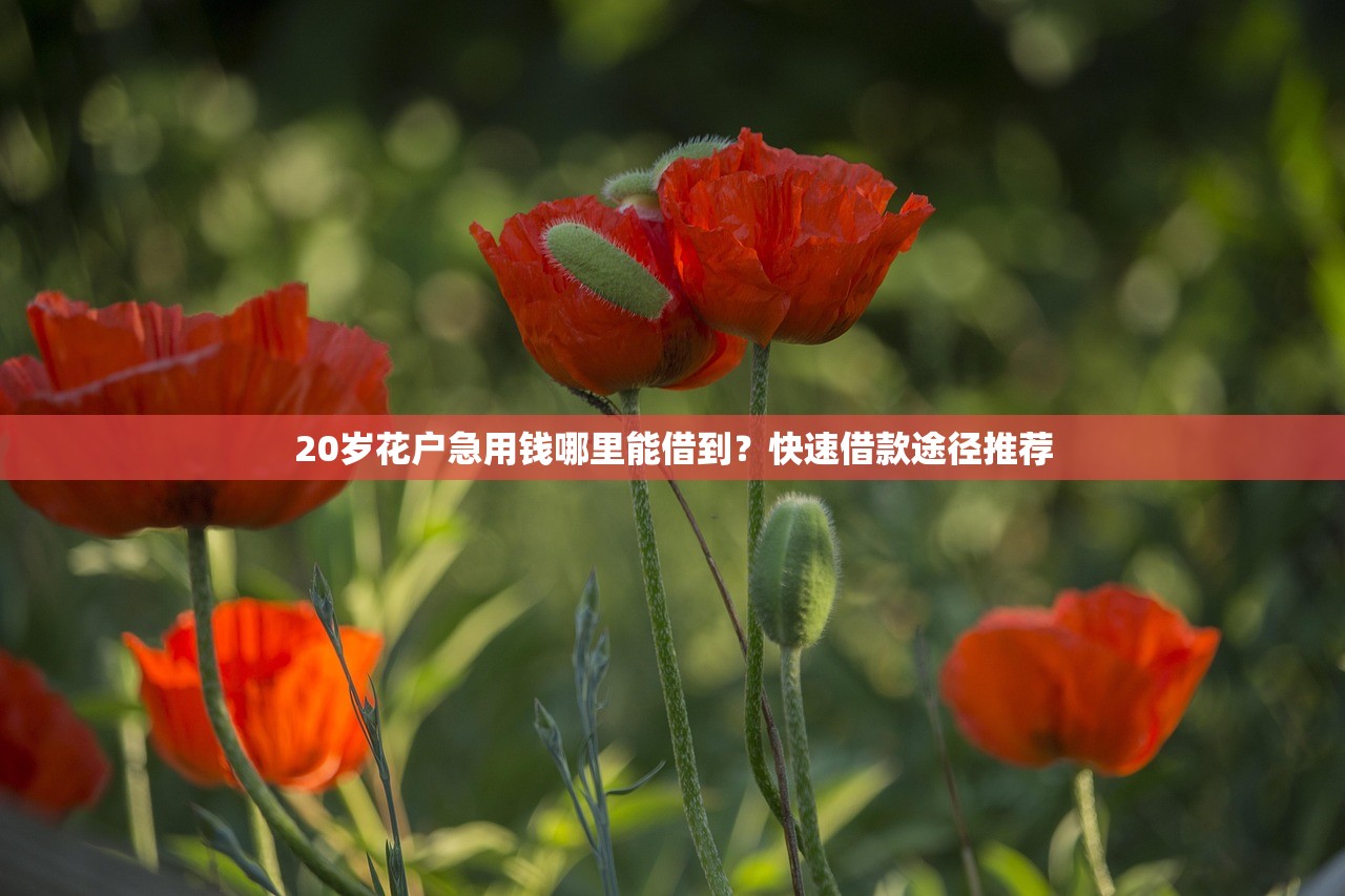 下款快的贷款平台推荐：快速审批，轻松获取资金