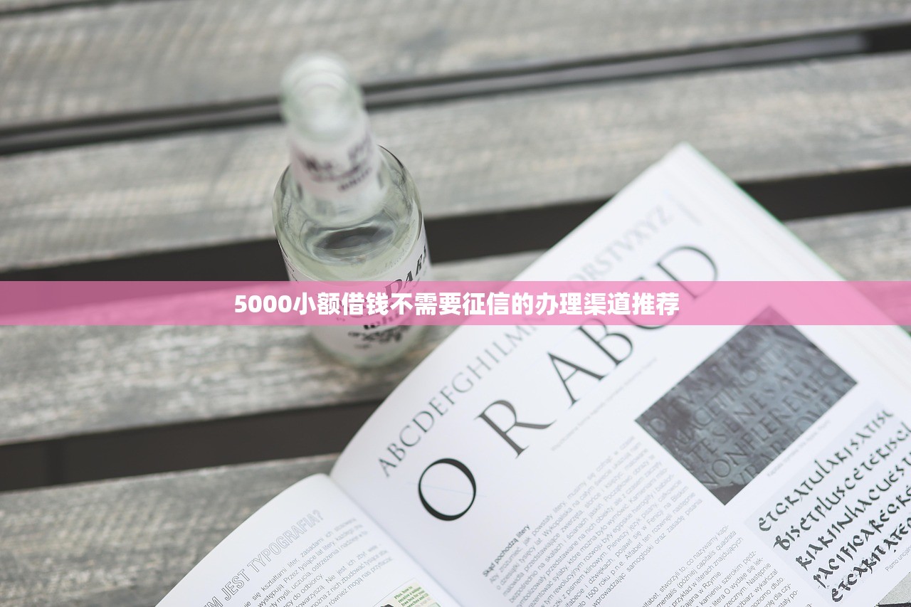 2025年来分期是在哪个平台借钱？看看这五个借五千块钱的秒下的贷款平台