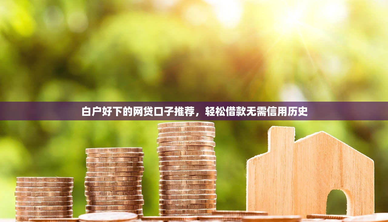 征信差有哪些贷款口子？这5个渠道审核快、门槛低
