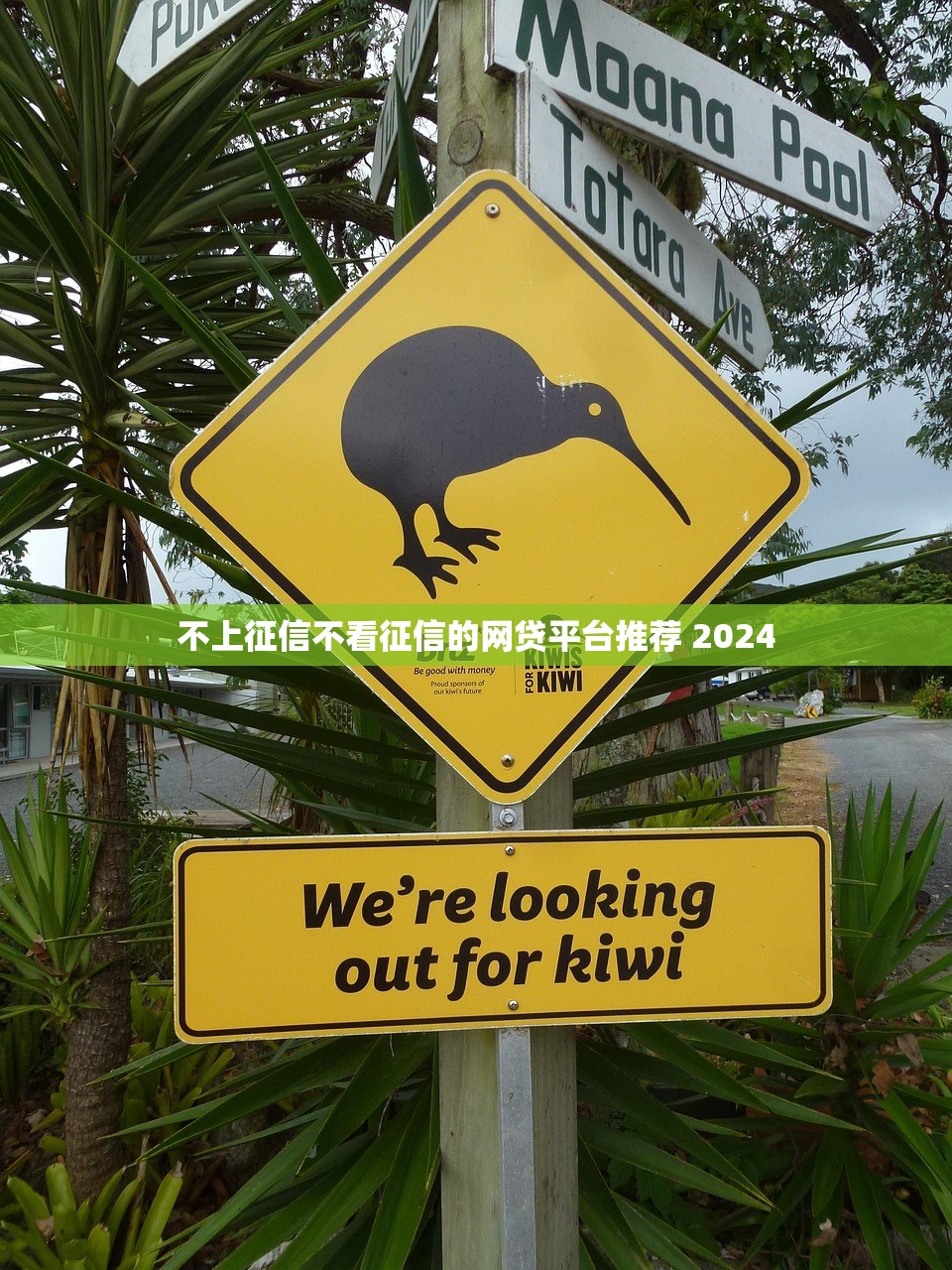 2025年拍拍贷有额度借款不通过，看看这五个秒审核放款软件