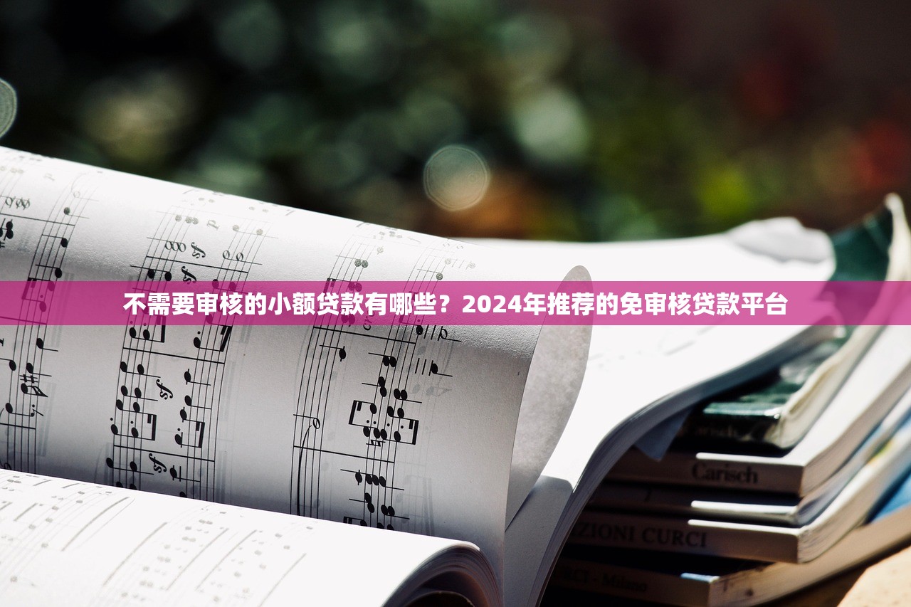 不需要审核的小额贷款有哪些？2024年推荐的免审核贷款平台