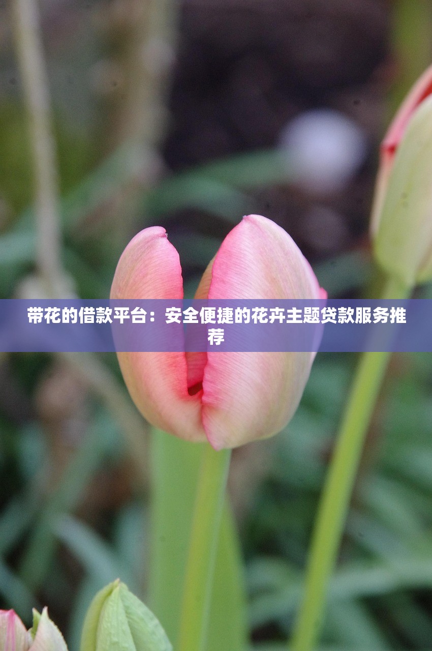 2025年有哪些app可以借钱？梳理五个分期有额度的网贷平台