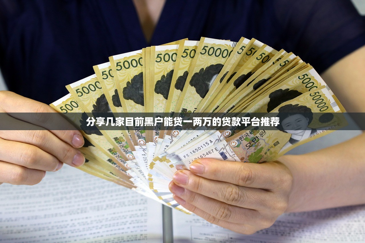 2025年容易通过的小额贷款平台正规吗：罗列五个比较好的网贷平台排名不分先后