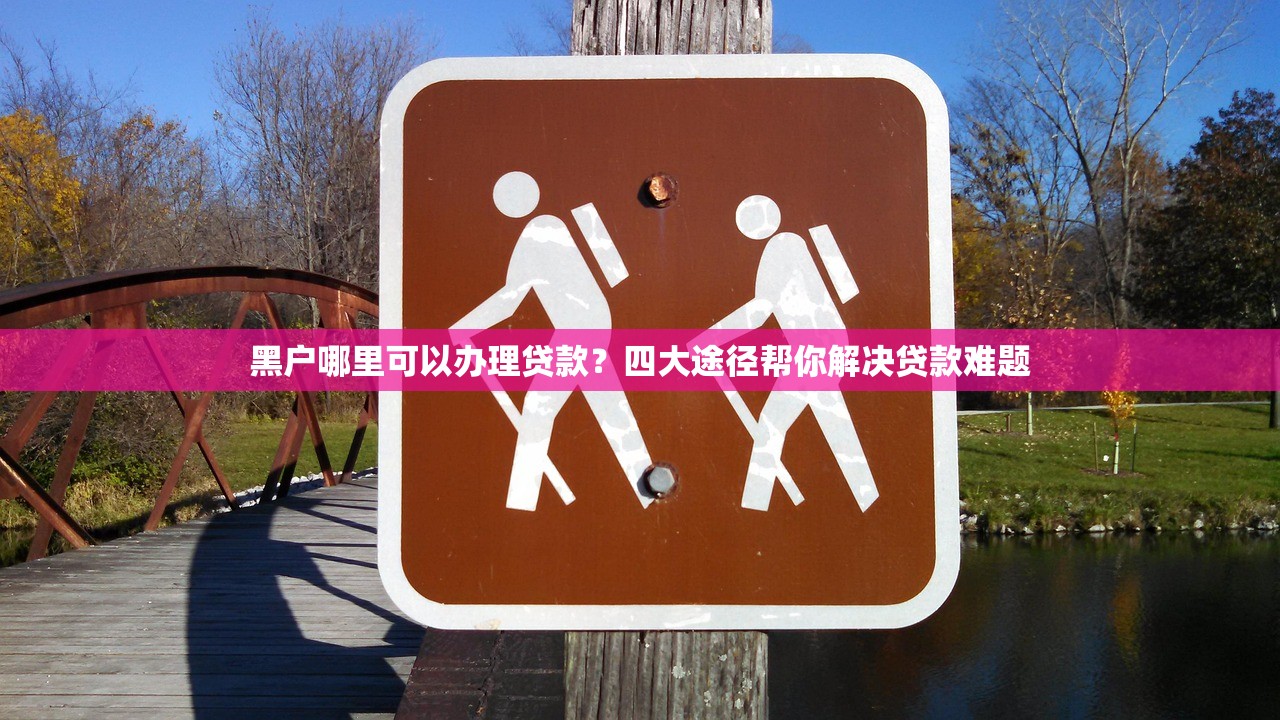哪个网贷平台能快速下款5000元？2024年推荐正规借款渠道