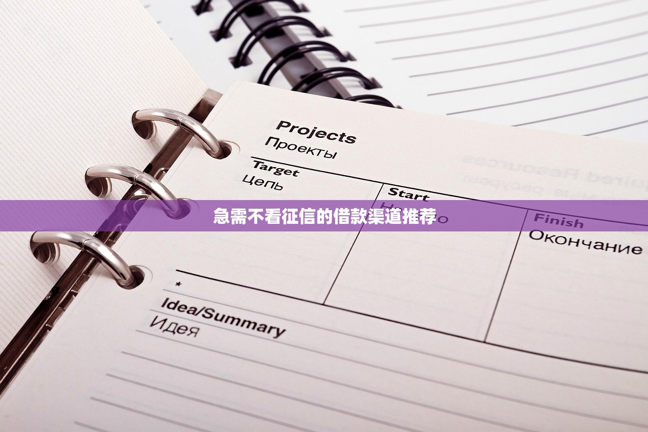 2025年借钱童子好下款吗，整理五个黑户当前逾期严重负债高综合评分不足能下款的平台
