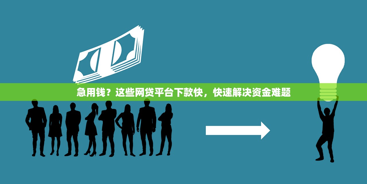金蟾蜍是哪个系列口子？揭秘背后平台资质及申请攻略