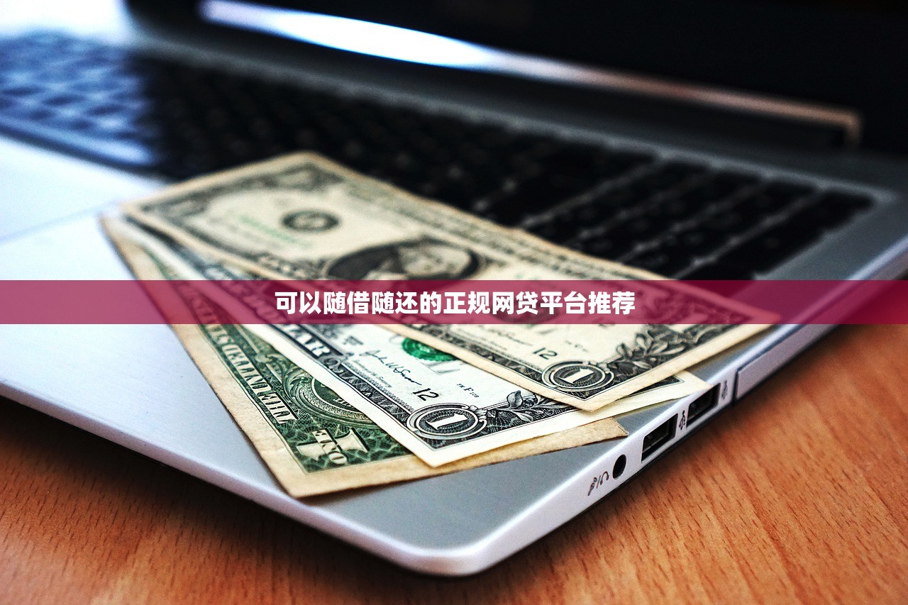 不用征信就能借钱的平台不用审核的有哪些？真实情况解析