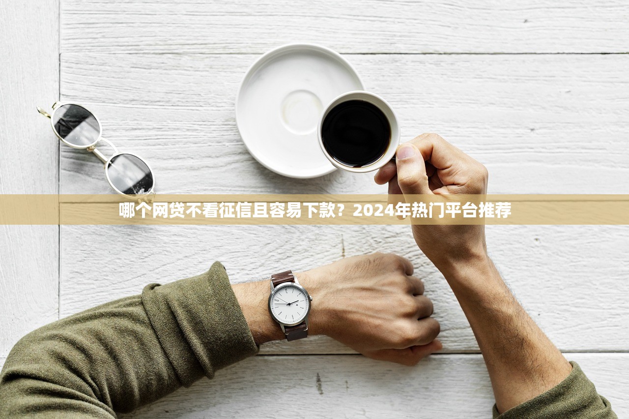 哪个网贷不看征信且容易下款？2024年热门平台推荐