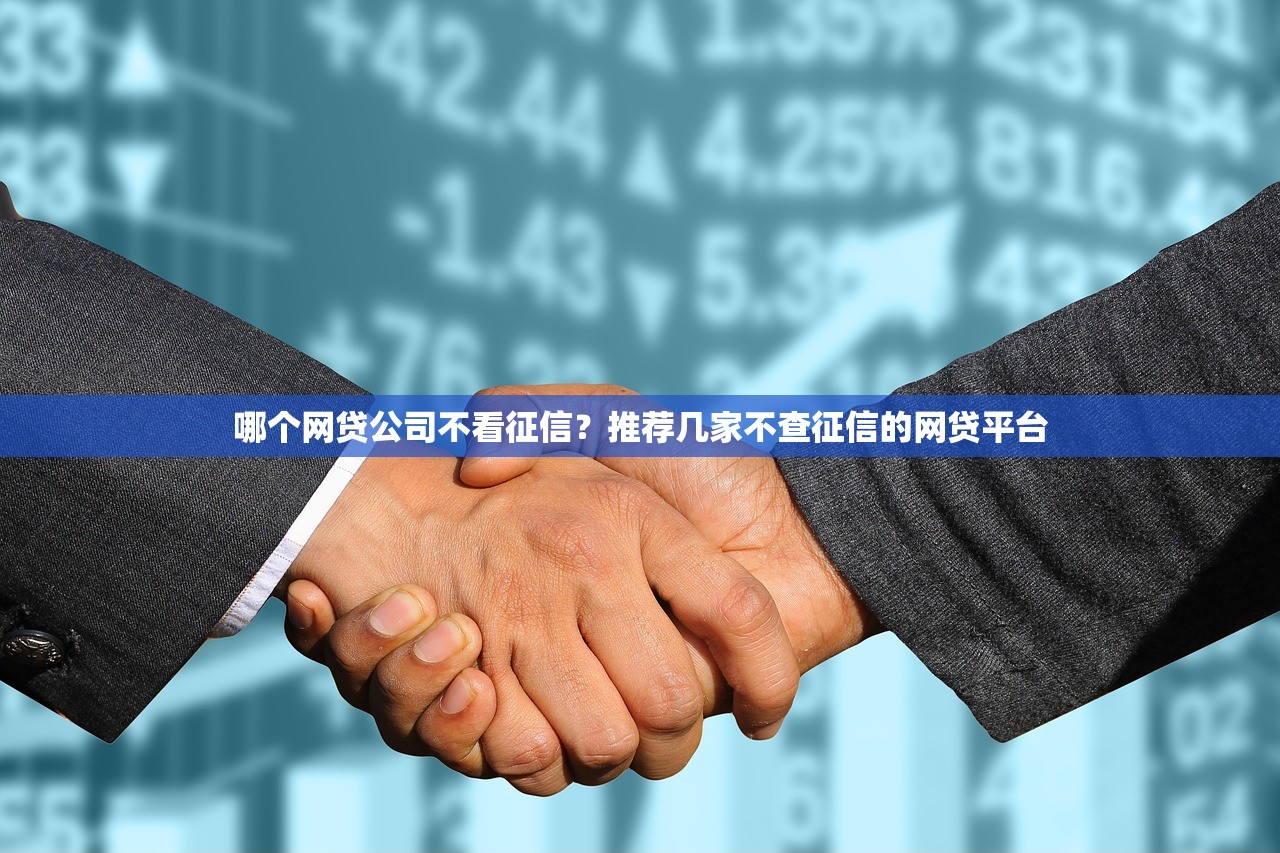 哪个网贷公司不看征信？推荐几家不查征信的网贷平台
