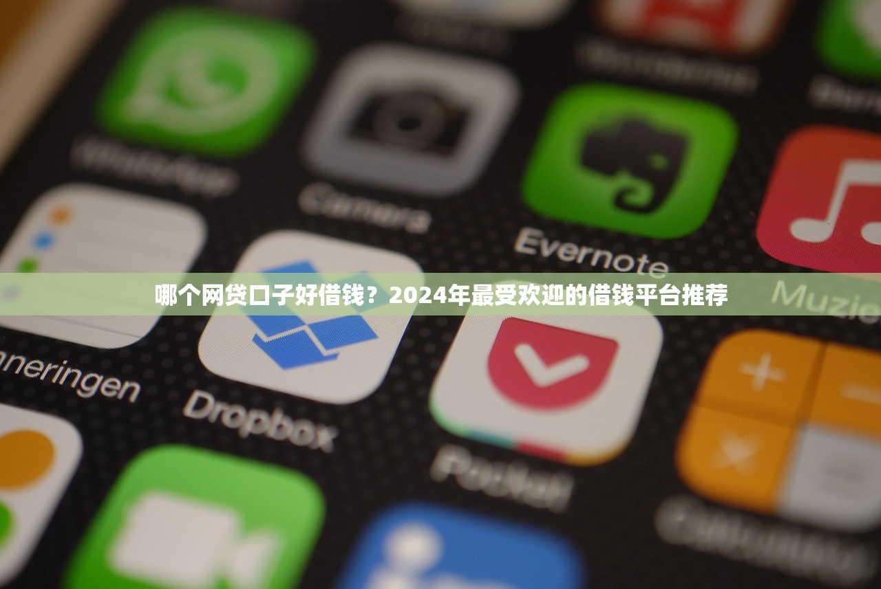 哪个网贷口子好借钱？2024年最受欢迎的借钱平台推荐