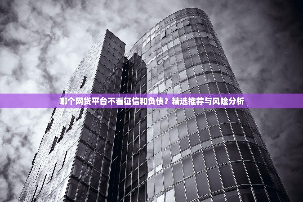 哪个网贷平台不看征信和负债？精选推荐与风险分析