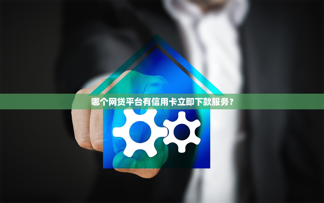 哪个网贷平台有信用卡立即下款服务？