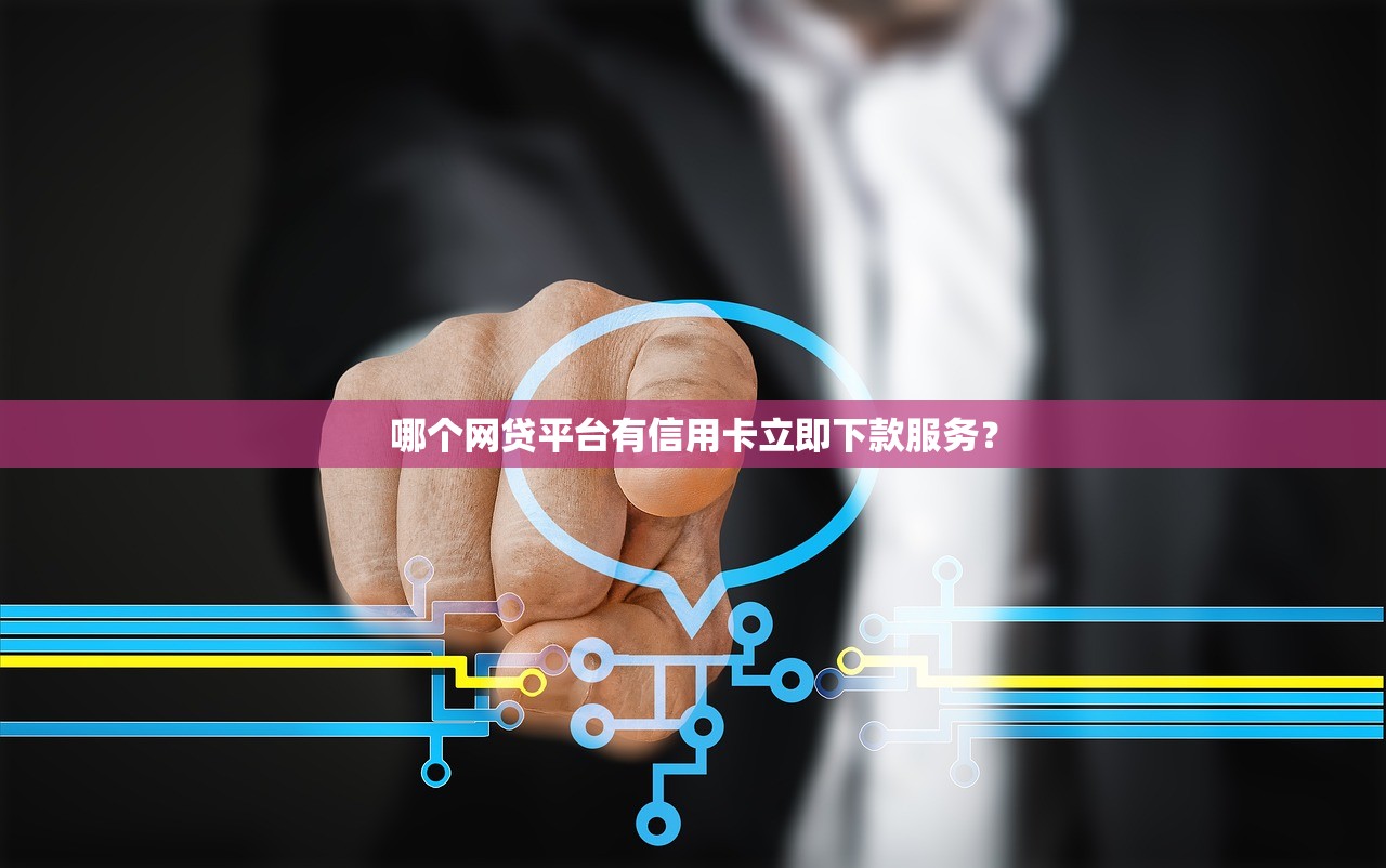 哪个网贷平台有信用卡立即下款服务？