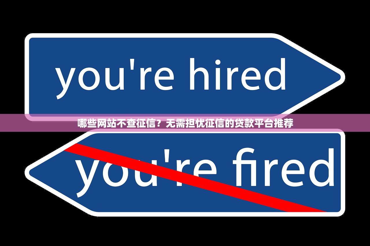 无视征信的网贷平台推荐与风险解析