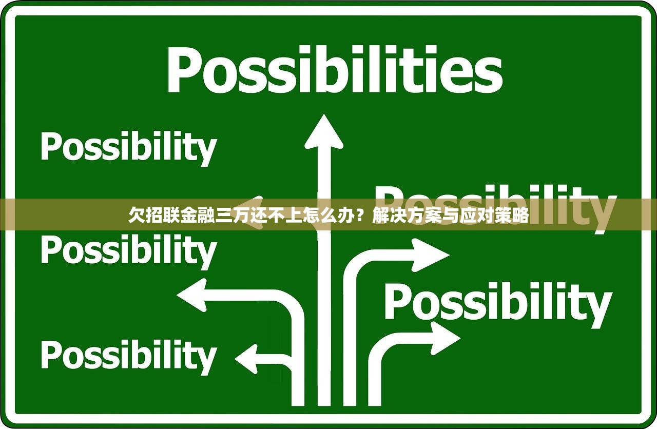 海洋分期口子从哪里进的？详细申请流程及靠谱渠道推荐