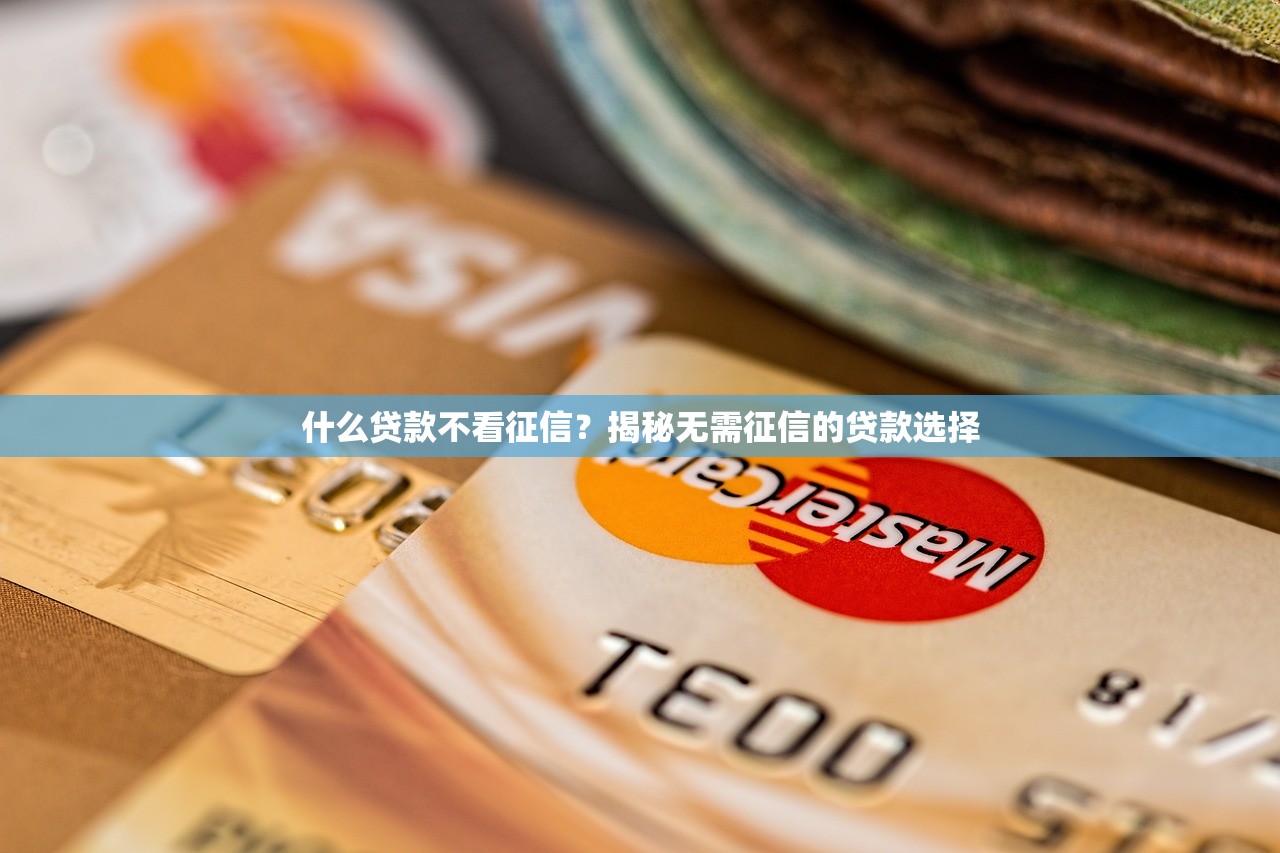 小仓鼠贷款口子靠谱吗？养宠人必看的低息借款渠道分析