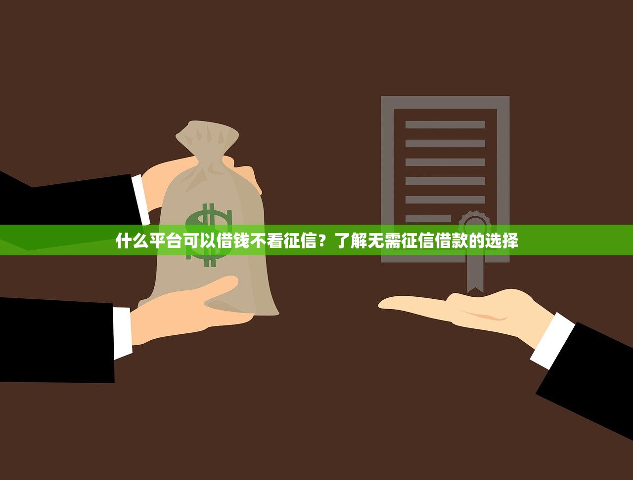 什么平台可以借钱不看征信？了解无需征信借款的选择