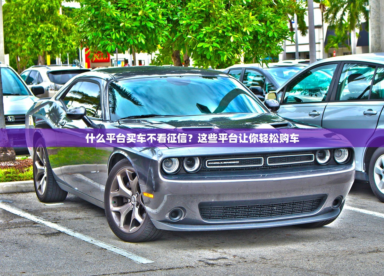 什么平台买车不看征信？这些平台让你轻松购车