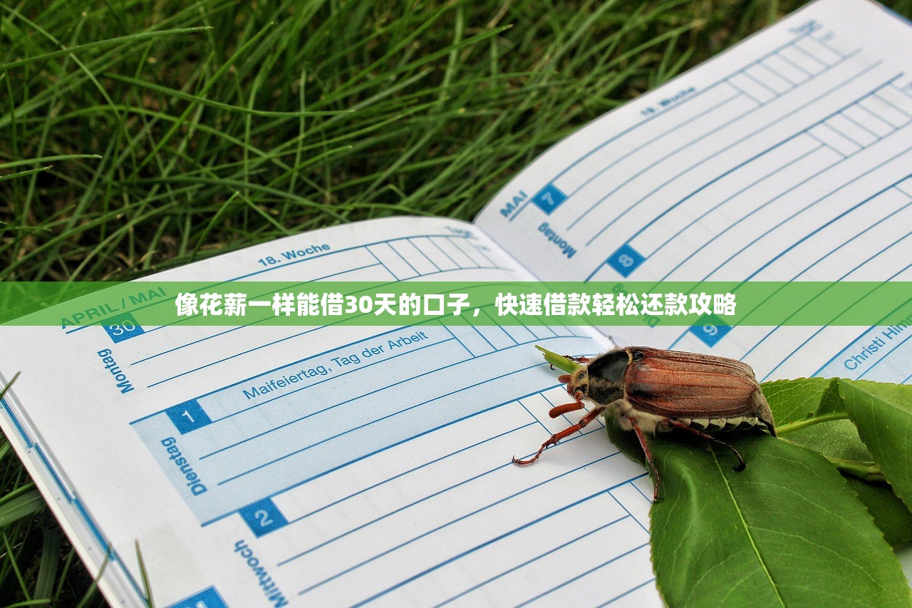 小额贷款3000元秒下款真实测评！如何快速申请到账？