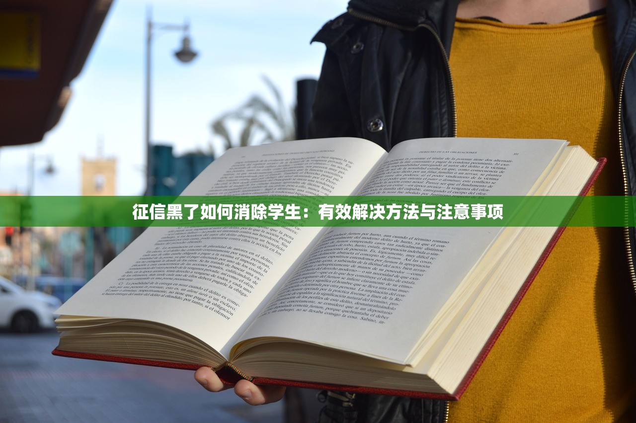 安逸花口子好下款吗？实测经验分享，这些细节决定成功率