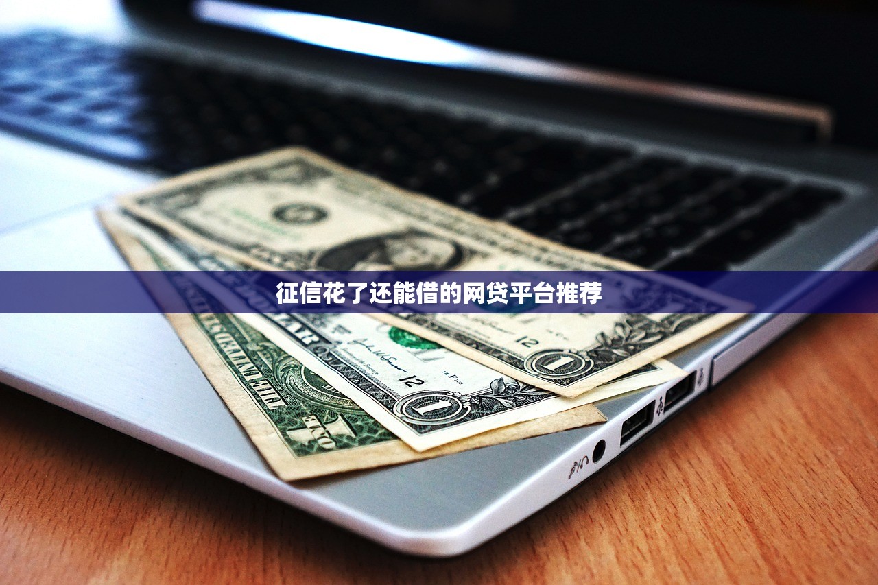 2025年大地e速宝好下款吗？罗列五个16岁贷款平台