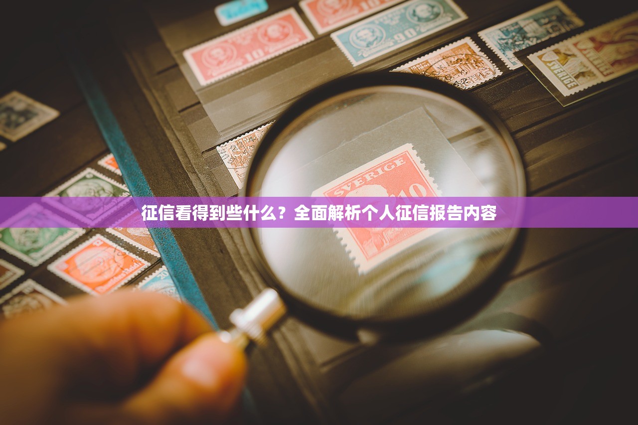 征信看得到些什么？全面解析个人征信报告内容