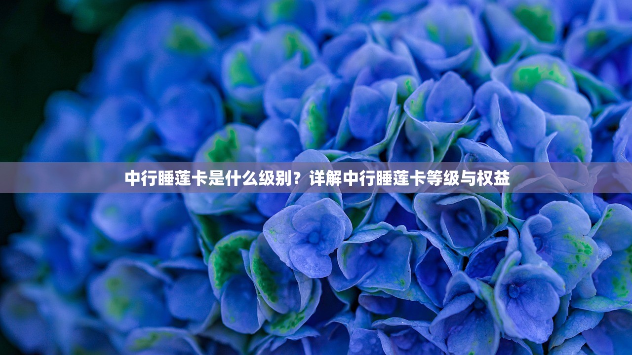 中行睡莲卡是什么级别？详解中行睡莲卡等级与权益