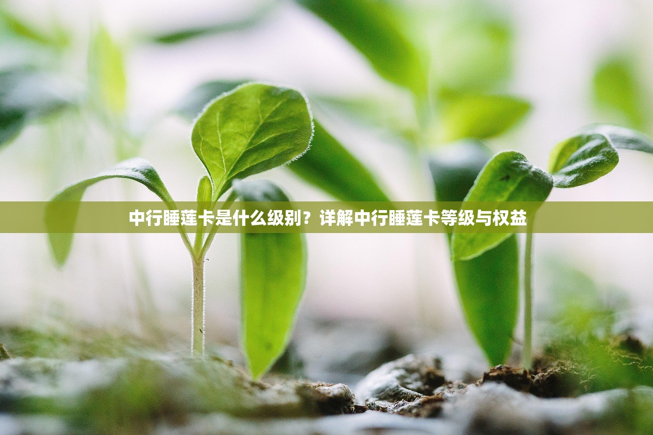 征信是黑花了吗？怎么看记录？手把手教你自查修复攻略