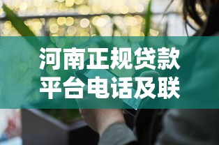 河南正规贷款平台电话及联系方式查询指南