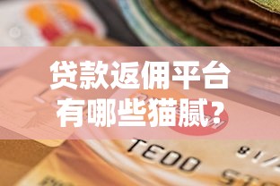 和美期一样的贷款口子悄然兴起？这几个平台审核快、门槛低