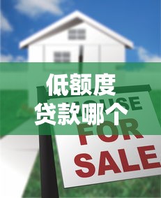 低额度贷款哪个平台最靠谱？2023年十大正规平台推荐