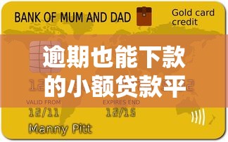 逾期也能下款的小额贷款平台推荐及注意事项