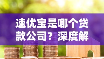 速优宝是哪个贷款公司？深度解析平台资质与借款攻略