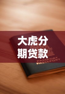 大虎分期贷款平台怎么样？真实测评+申请避坑指南
