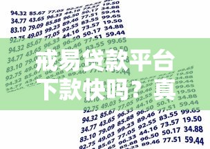 戒易贷款平台下款快吗？真实用户经验+申请攻略解析