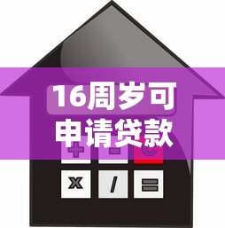 16周岁可申请贷款平台有哪些？未成年人借款需注意这些风险