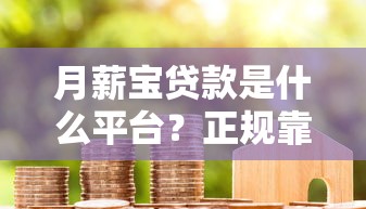 月薪宝贷款是什么平台？正规靠谱吗？申请条件及流程全解析