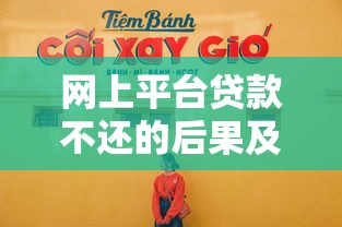 网上平台贷款不还的后果及应对策略