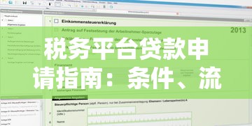 税务平台贷款申请指南：条件、流程及注意事项