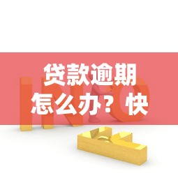 贷款逾期怎么办？快速解决平台逾期的应对策略
